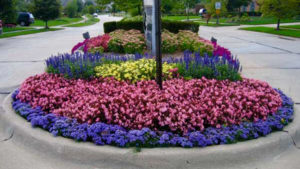rounded flowerbed with purple, pink and yellow flowers